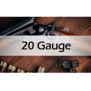 20 Gauge