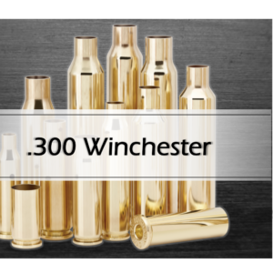 .300 Win Mag Brass Cases