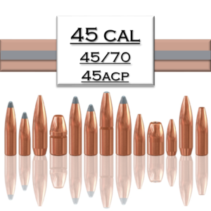 .45 Bullets