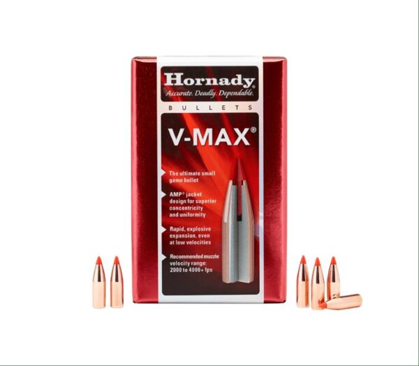 Hornady .308 110GR V-Max | HORN23010
