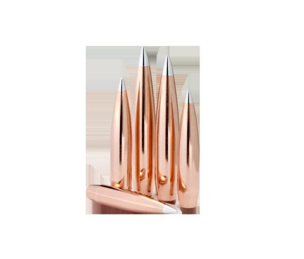 Hornady .308 250GR A-Tip Match | HORN3092