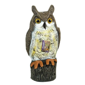 Owl Decoys