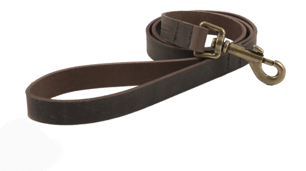 Dog Lead Heritage Leather Chestnut 1.3m x 19mm