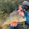 WX BOSS Polarized Blue Mirror - Image 4