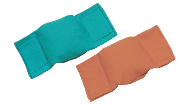 Beanbag Puppy Dummy Orange by Bisley