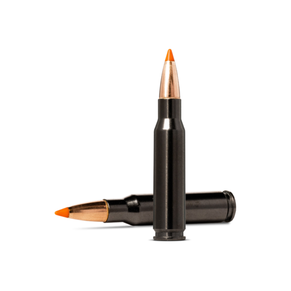 Norma Tipstrike Silencer 308 Win 170gr