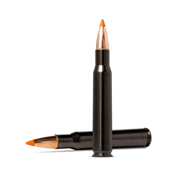 Norma Tipstrike Silencer 30-06 Springfield 170gr