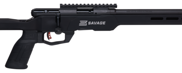Savage Arms B22 Precision .22 LR