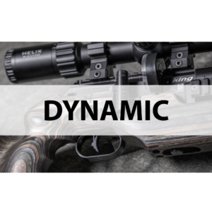 FX DYNAMIC