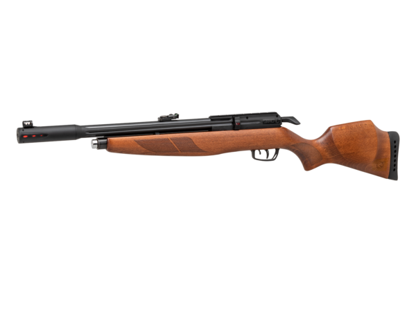 GAMO RISER PUNISHER PCP AIR RIFLE