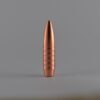 NPB .308 170gr Hunting Expandable Lead Free Bullets