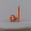 NPB .308 170gr Hunting Expandable Lead Free Bullets