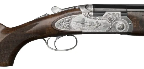 28 2 2017 687EELL scene caccia 1