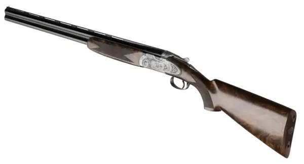 28 2 2017 687EELL scene caccia 11