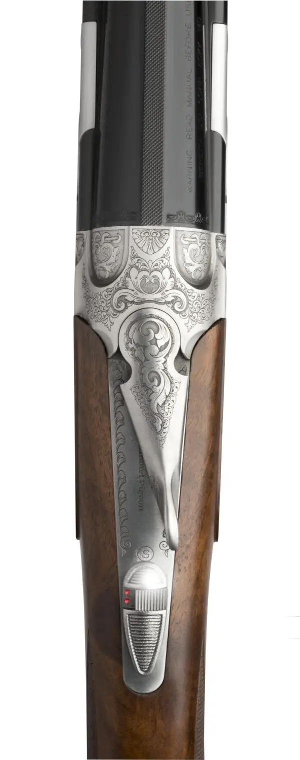 28 2 2017 687EELL scene caccia 4