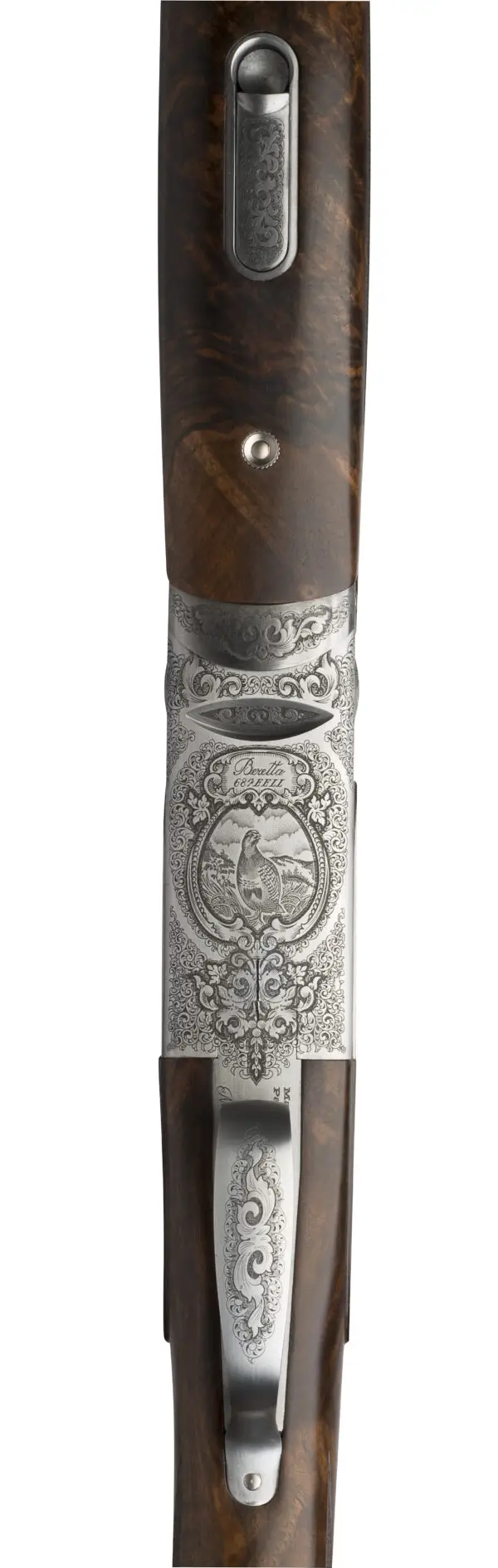 28 2 2017 687EELL scene caccia 5