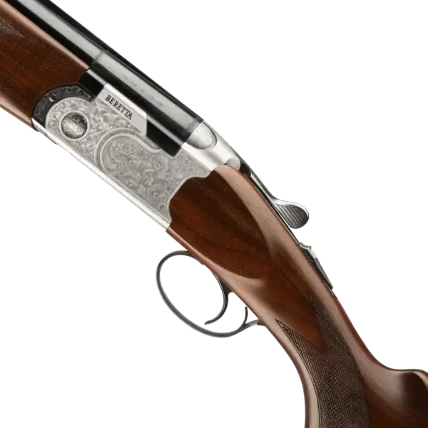 686 Silver Pigeon 1 MY24 zoom005