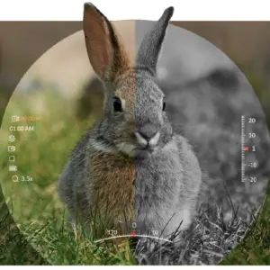 Night Vision