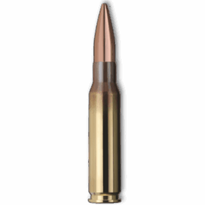 GECO .308 Win. TARGET HP 168gr Ammo
