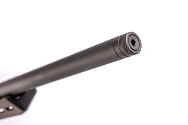 Tikka T3x Ace Target 20