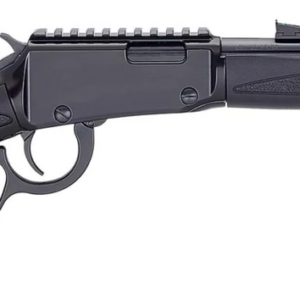 Henry H1 Model X .22LR Lever Action Rifle
