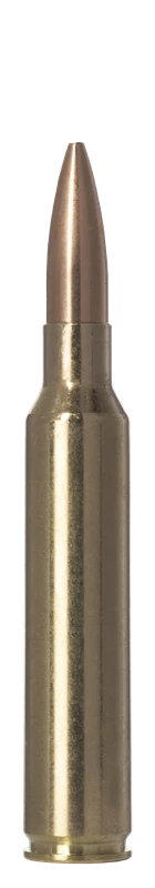 Norma .300 PRC Golden Target 220gr Ammo